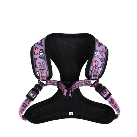 Cartoon Reflective Dog Harness and Leash