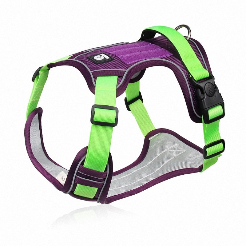 Reflective Safety Harness