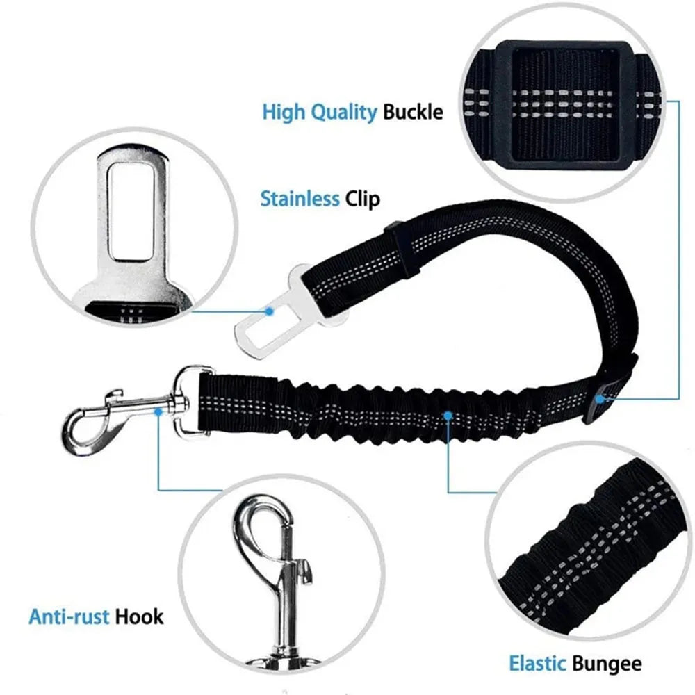 Car Seat Belt Leash