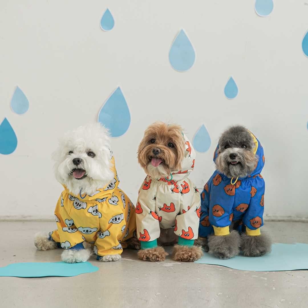 Waterproof All-inclusive Winter Raincoat