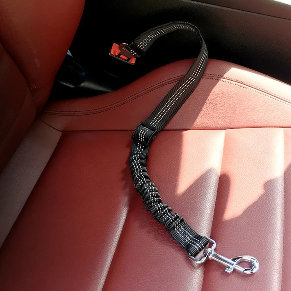 Car Seat Belt Leash