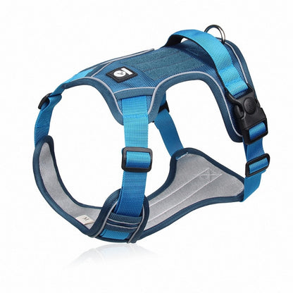 Reflective Safety Harness