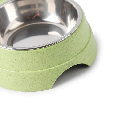 Double Stainless Steel Pet Feeding Bowls