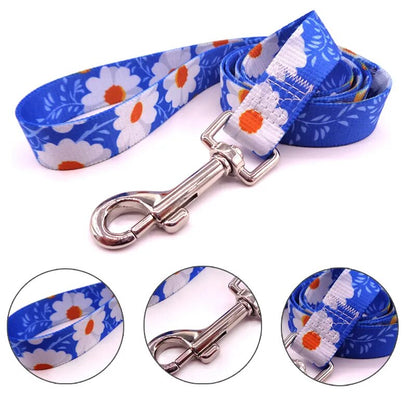 Boho Chic Pet Leash