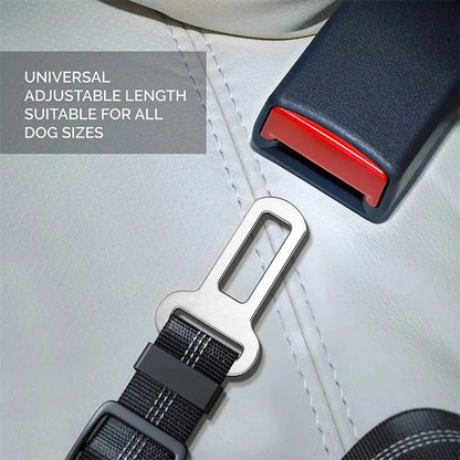 Car Seat Belt Leash