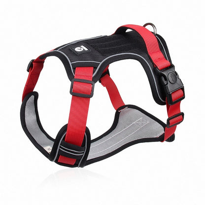 Reflective Safety Harness