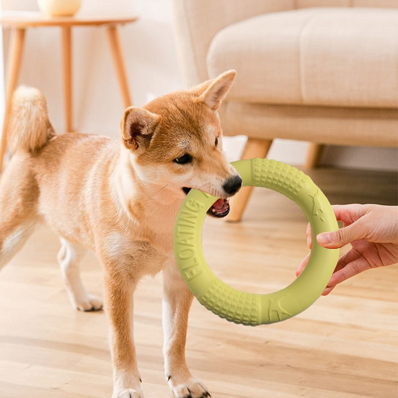 Pullable Training Ring