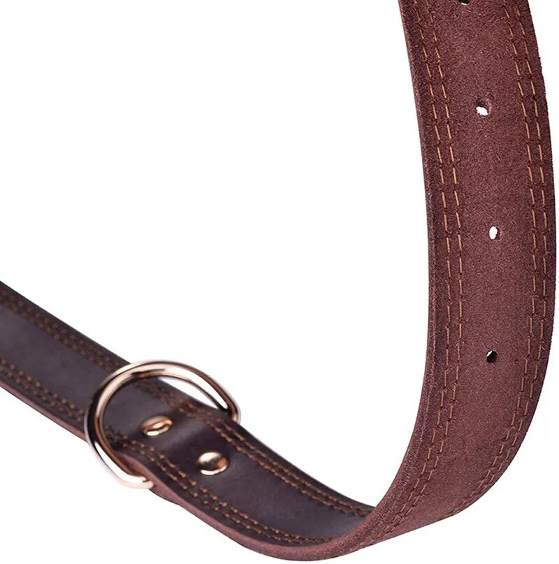 Vintage Leather Dog Collar