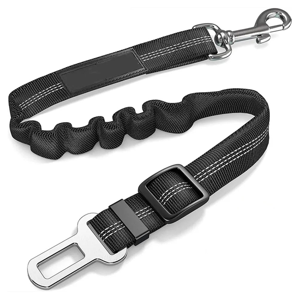 Car Seat Belt Leash