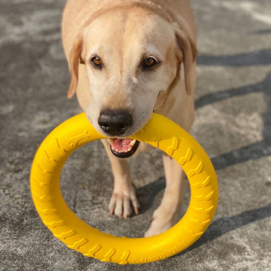 Pullable Training Ring