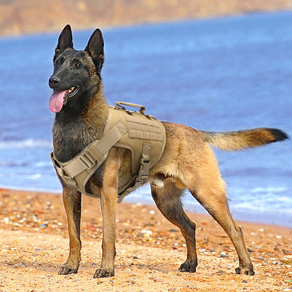 Military Tactical Dog Harness Set