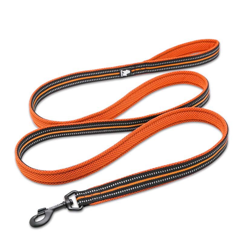 Reflective Nylon Dog Leash