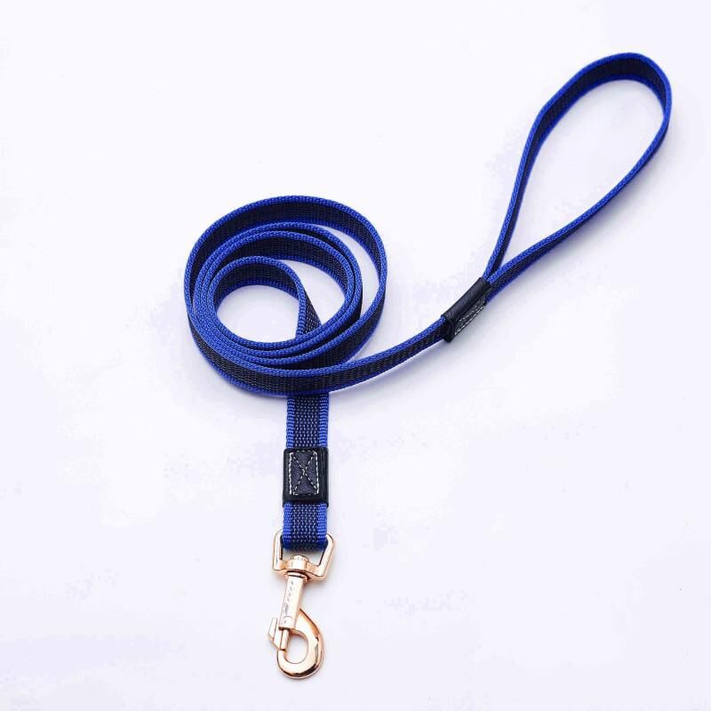 Non-Slip Nylon Dog Leash