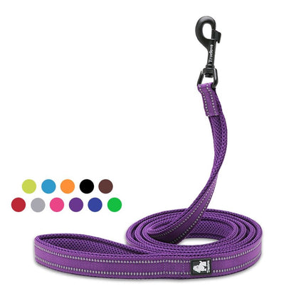 Reflective Nylon Dog Leash