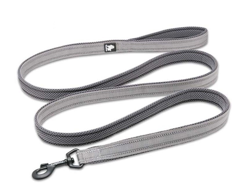 Reflective Nylon Dog Leash