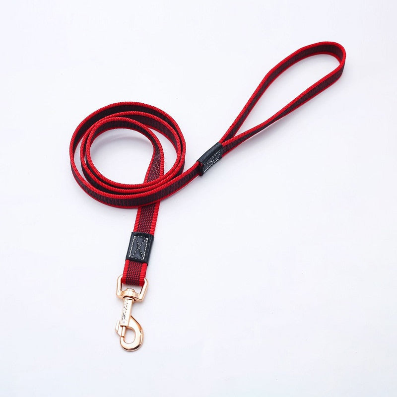 Non-Slip Nylon Dog Leash