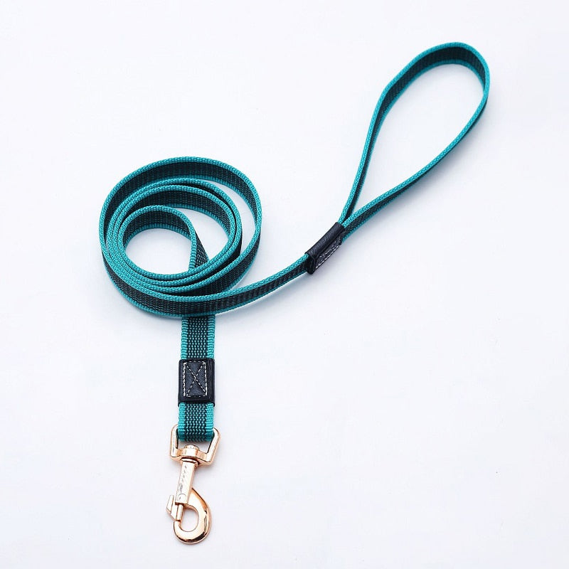 Non-Slip Nylon Dog Leash