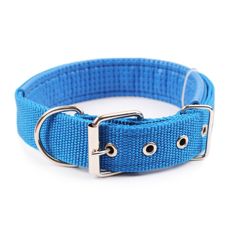 Fashionable Dog Collar - Woof's Wardrobe