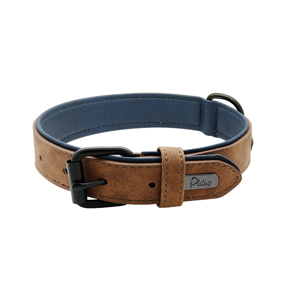 Leather Padded Adjustable Dog Collar