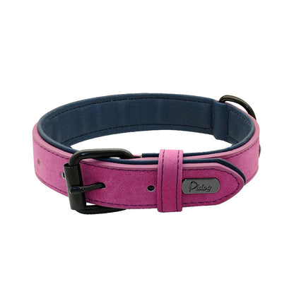 Leather Padded Adjustable Dog Collar