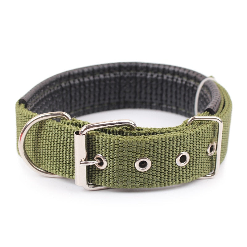 Fashionable Dog Collar - Woof's Wardrobe