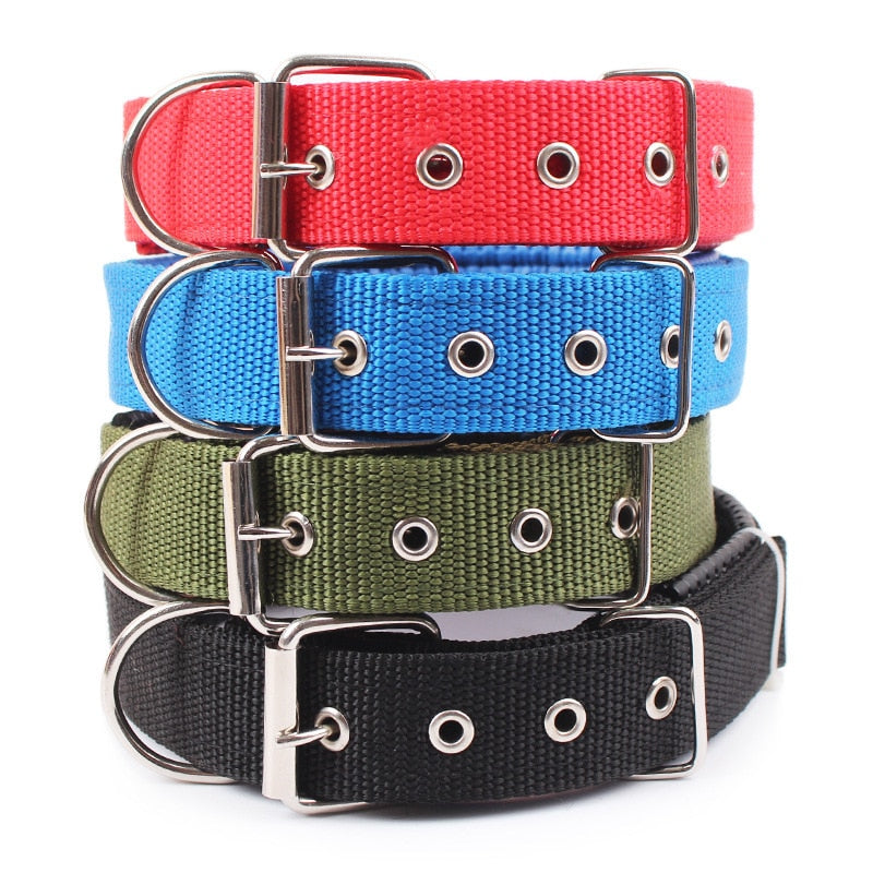 Fashionable Dog Collar - Woof's Wardrobe