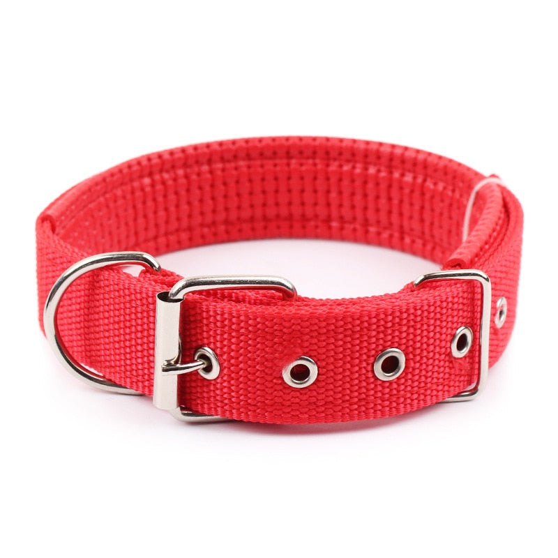 Fashionable Dog Collar - Woof's Wardrobe