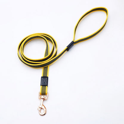 Non-Slip Nylon Dog Leash