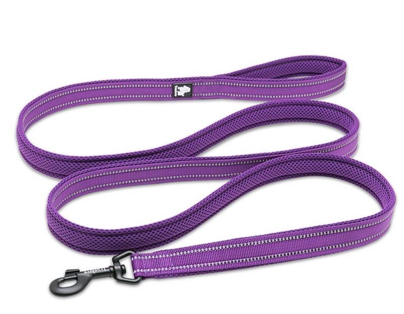 Reflective Nylon Dog Leash